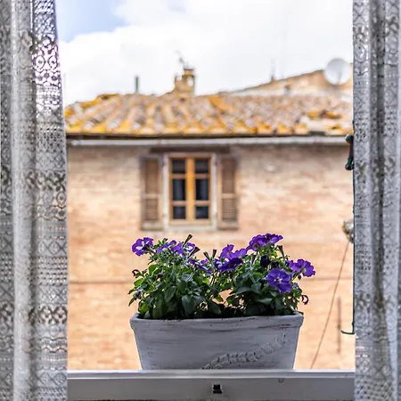 Apartment Il Nido Buonconvento