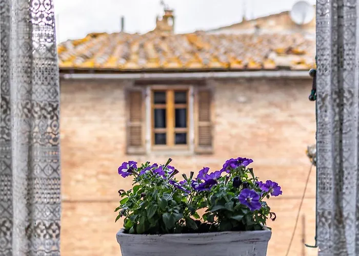 شقة Il Nido بونكونفينتو